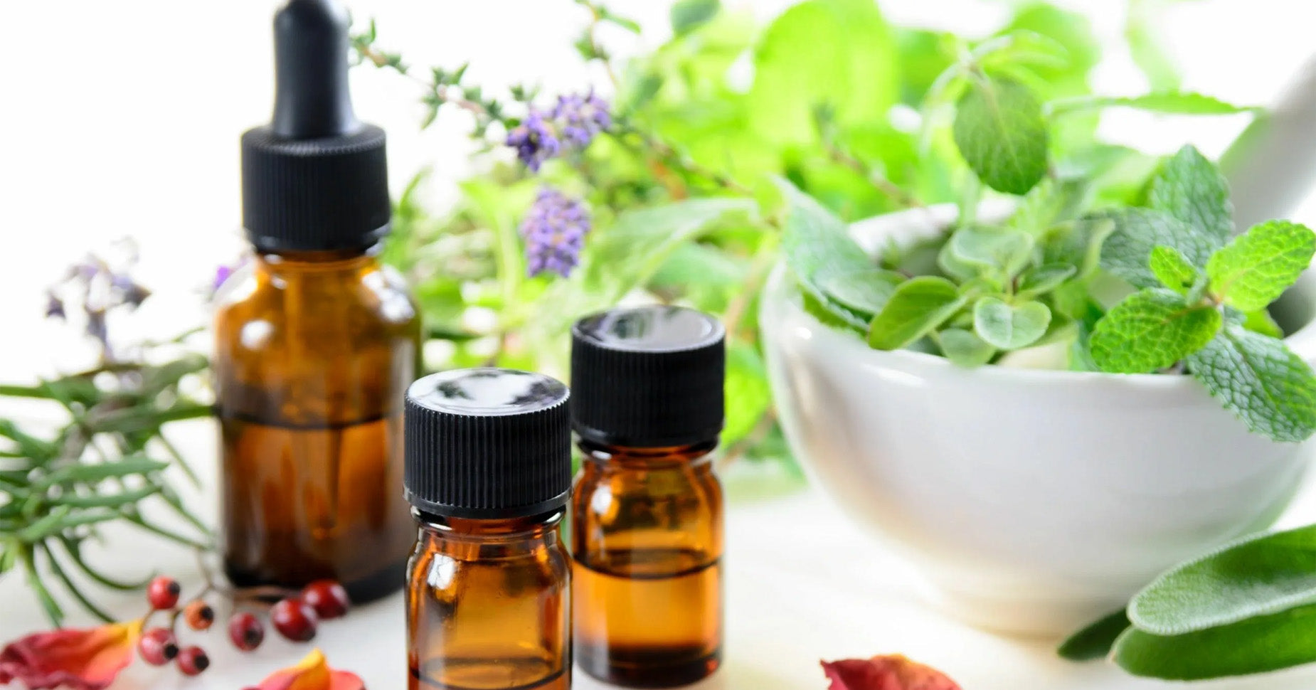 Can Stress Cause Insomnia? Natural Oils & Tips for Better Sleep