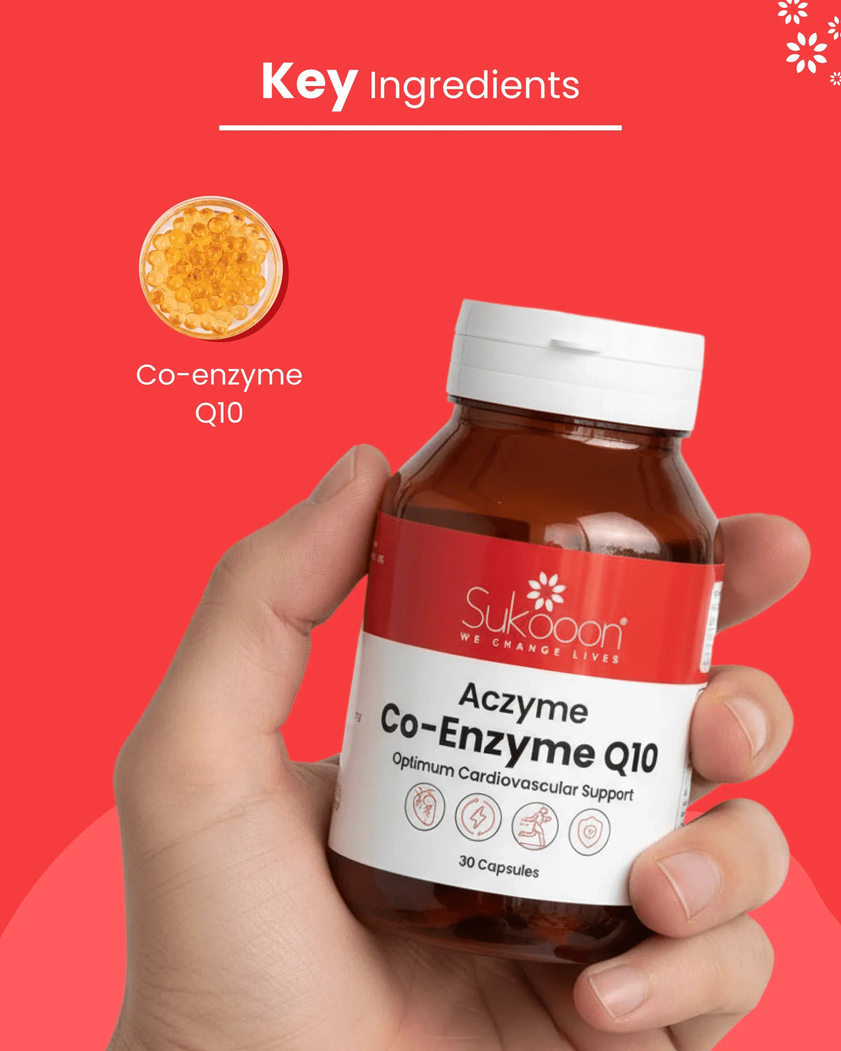Hand holding Co-Enzyme Q10 supplement bottle for cardiovascular support, key ingredient shown