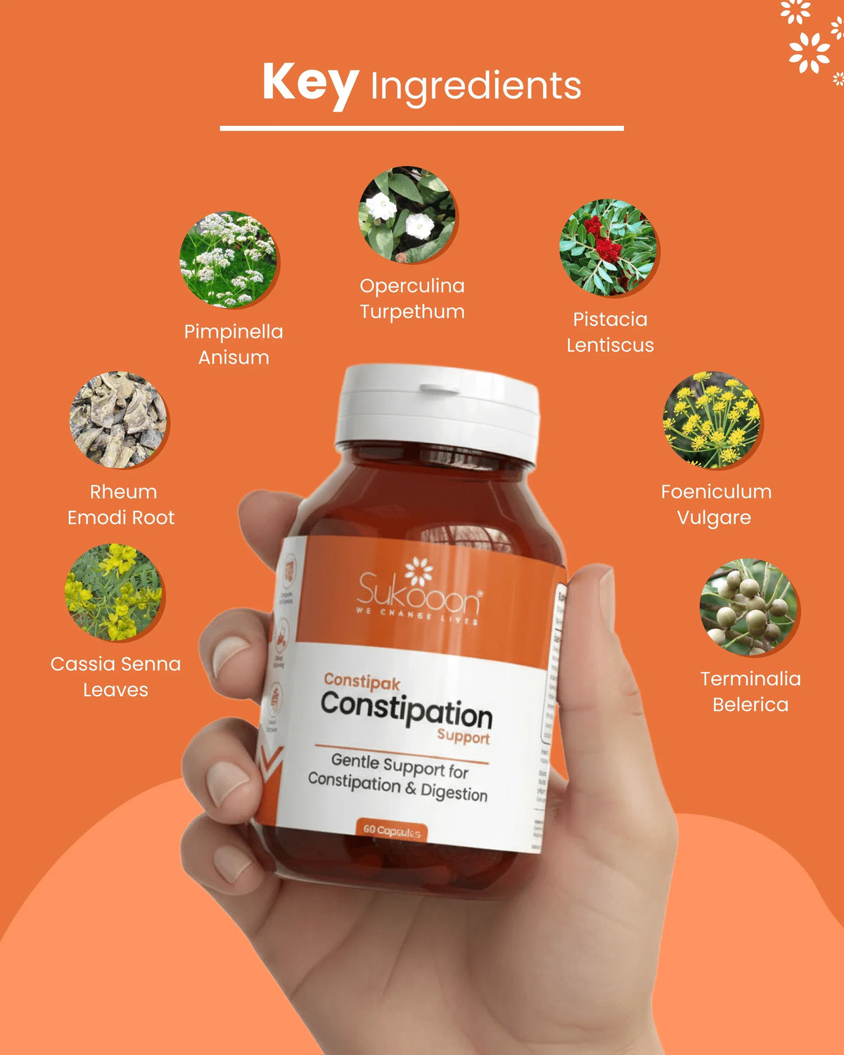 Constipation support supplement with natural ingredients like Cassia Senna, Foeniculum, and Terminalia for gentle digestive relief