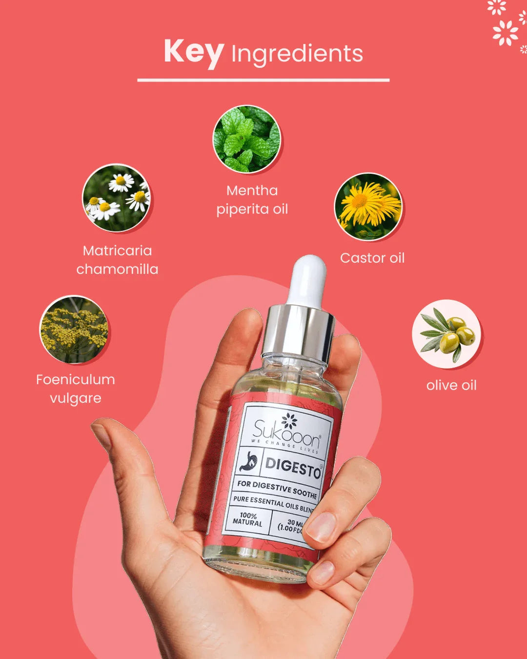 Sukooon Digesto essential oil blend with chamomile, peppermint, castor, fennel & olive oils for digestive relief