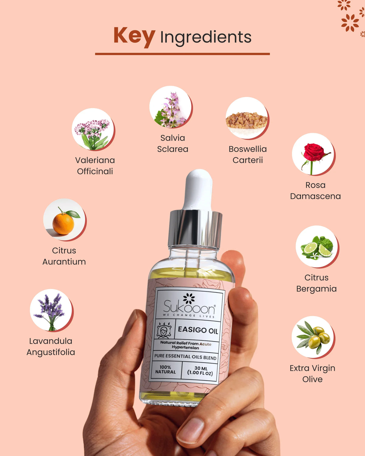 Sukooon Easigo Oil bottle with key natural ingredients like lavender, rose, and olive for hypertension relief