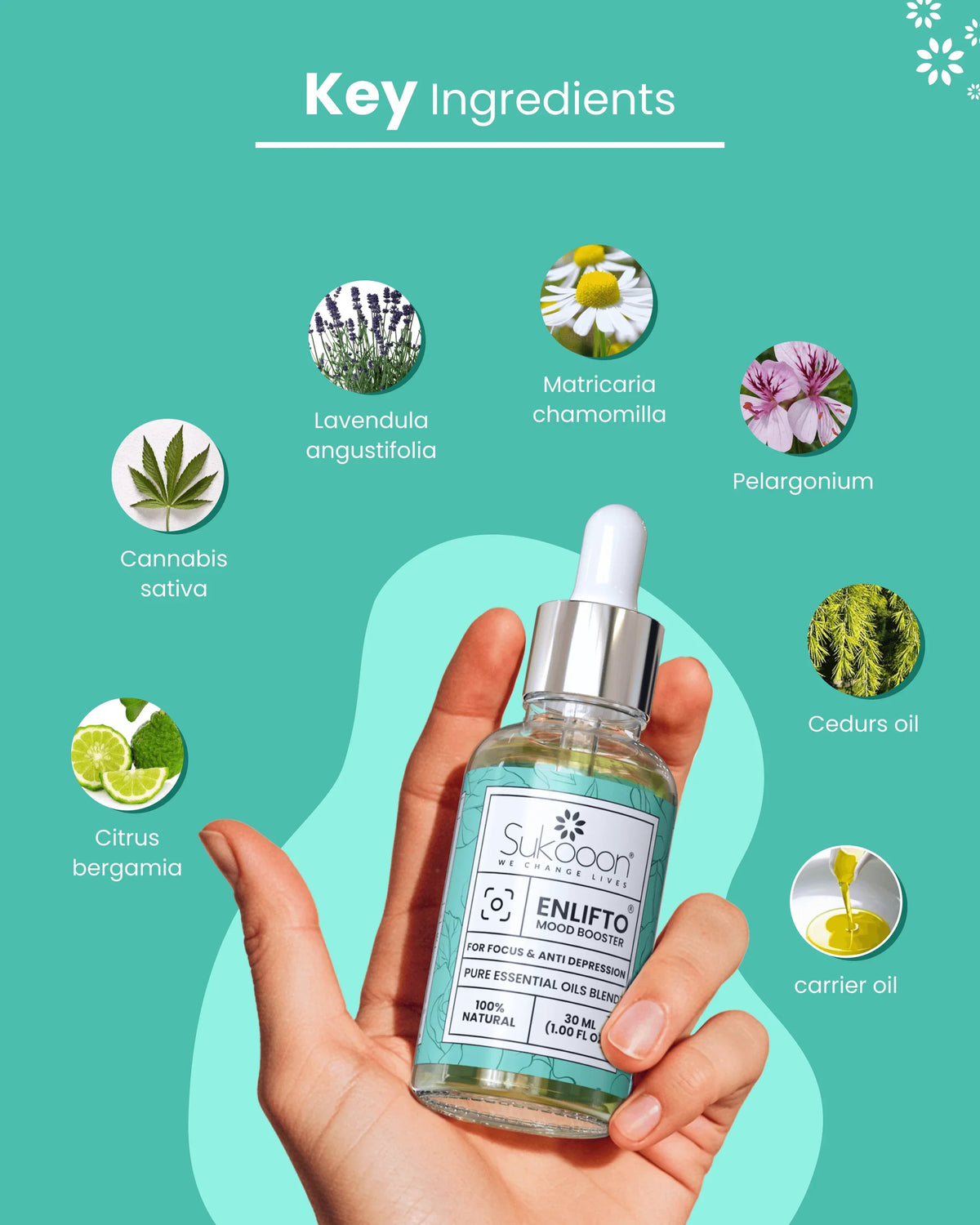 Hand holding Sukoon Enlifto mood booster essential oil blend with key natural ingredients like lavender, chamomile, and citrus bergamia