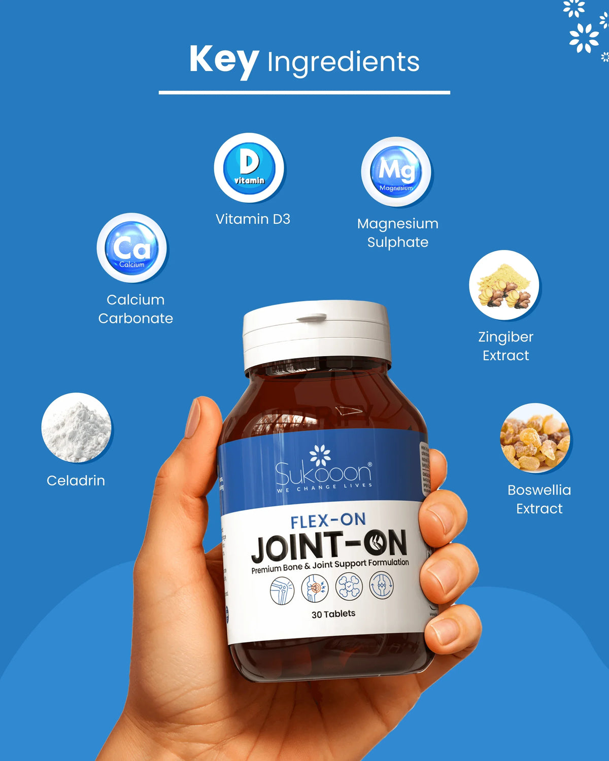 Flex-On Joint-On bone and joint support supplement with key ingredients like Vitamin D3, Magnesium, Calcium, Zingiber, Boswellia, and Celadrin