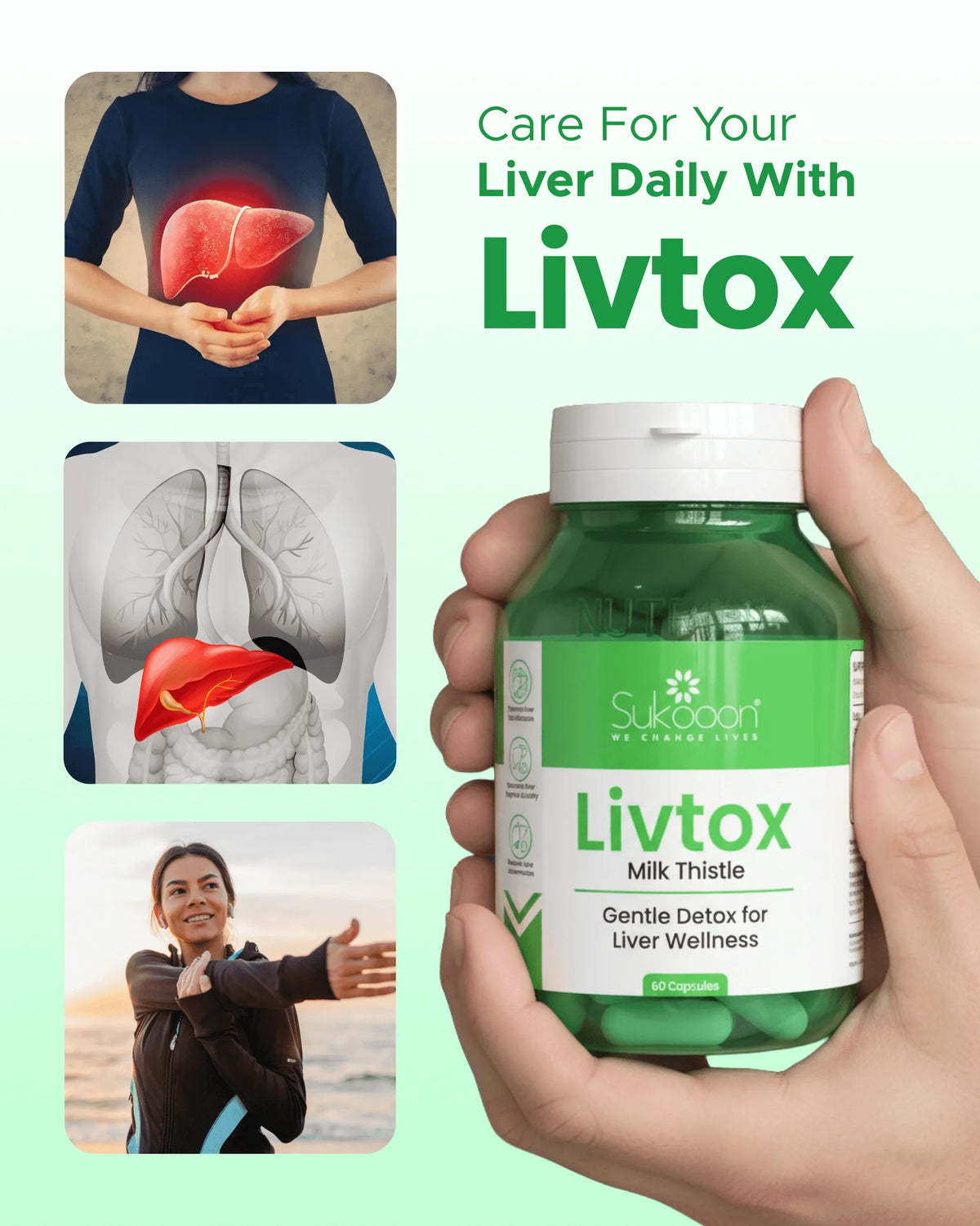 Livtox milk thistle supplement for liver wellness, gentle detox with 60 capsules, held in hand