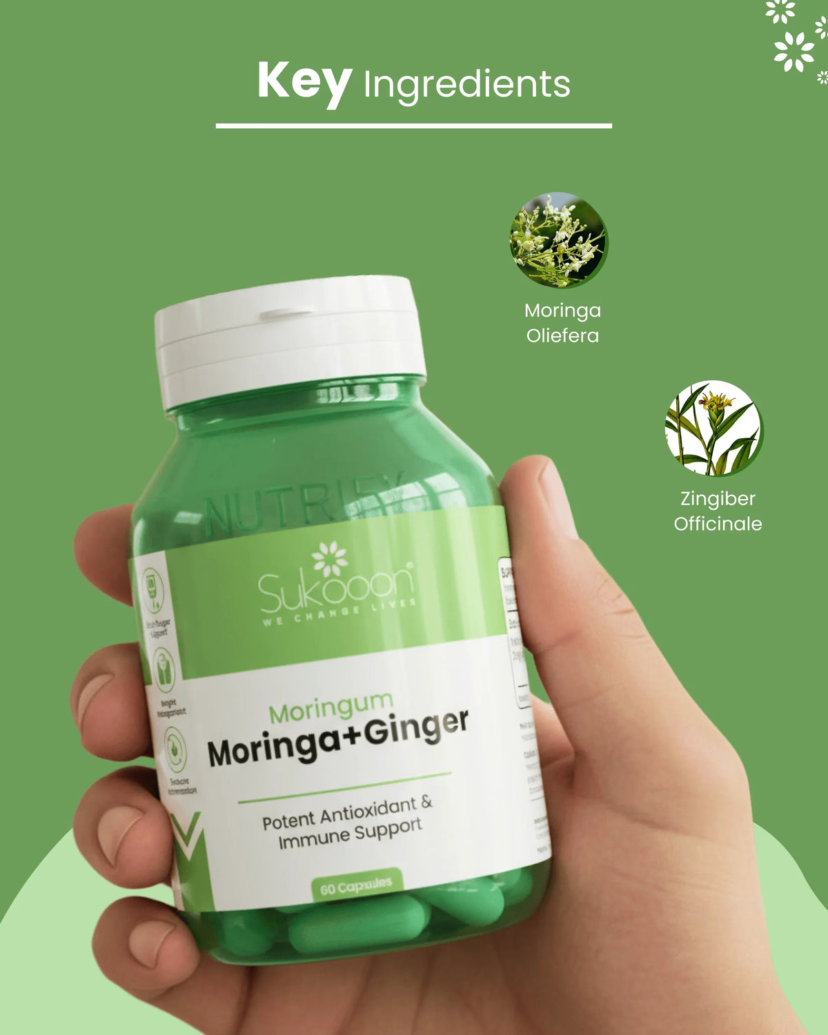 Moringa + Ginger supplement bottle with key ingredients Moringa Oleifera and Zingiber Officinale for immune support