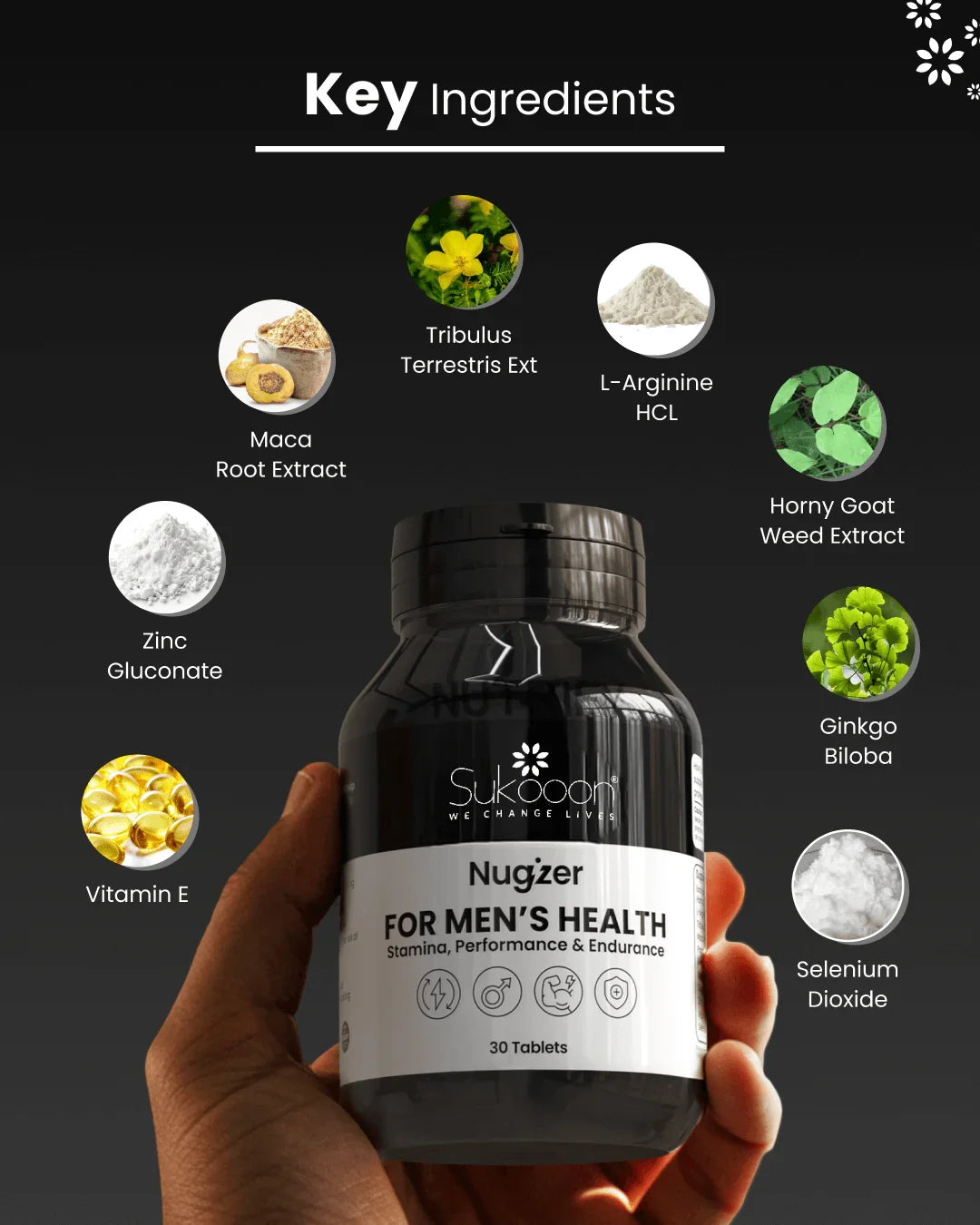 Nugizer men's health supplement with key ingredients like Tribulus, Maca, Zinc, and Vitamin E for stamina and performance