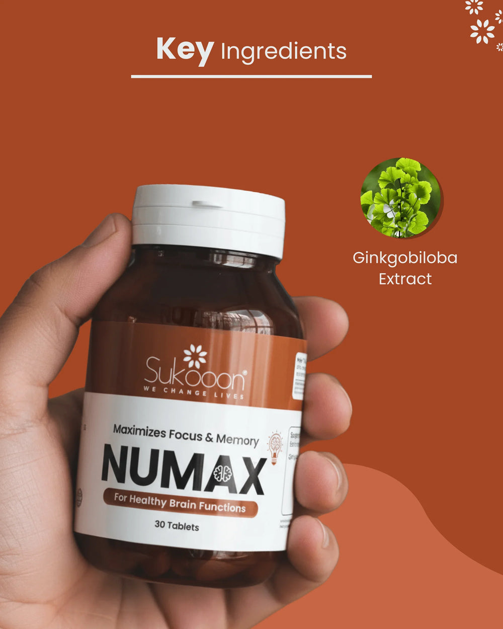 Numax brain supplement with Ginkgo Biloba extract for focus, memory & healthy brain function