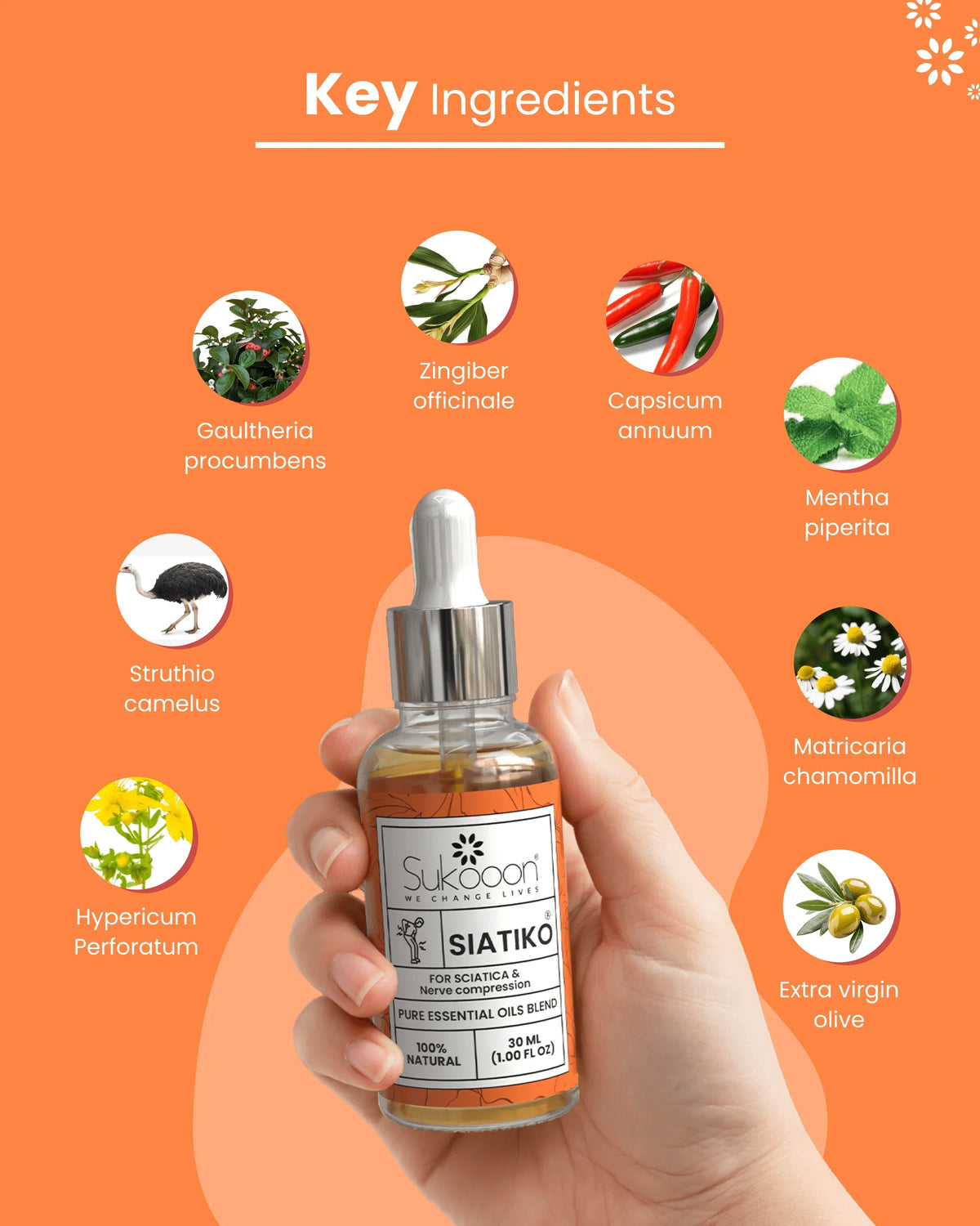 Sukoon Siatiko essential oil blend for sciatica relief with natural ingredients like ginger, mint, and olive oil